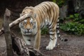 /album/fotogaleria/images-33-jpg/